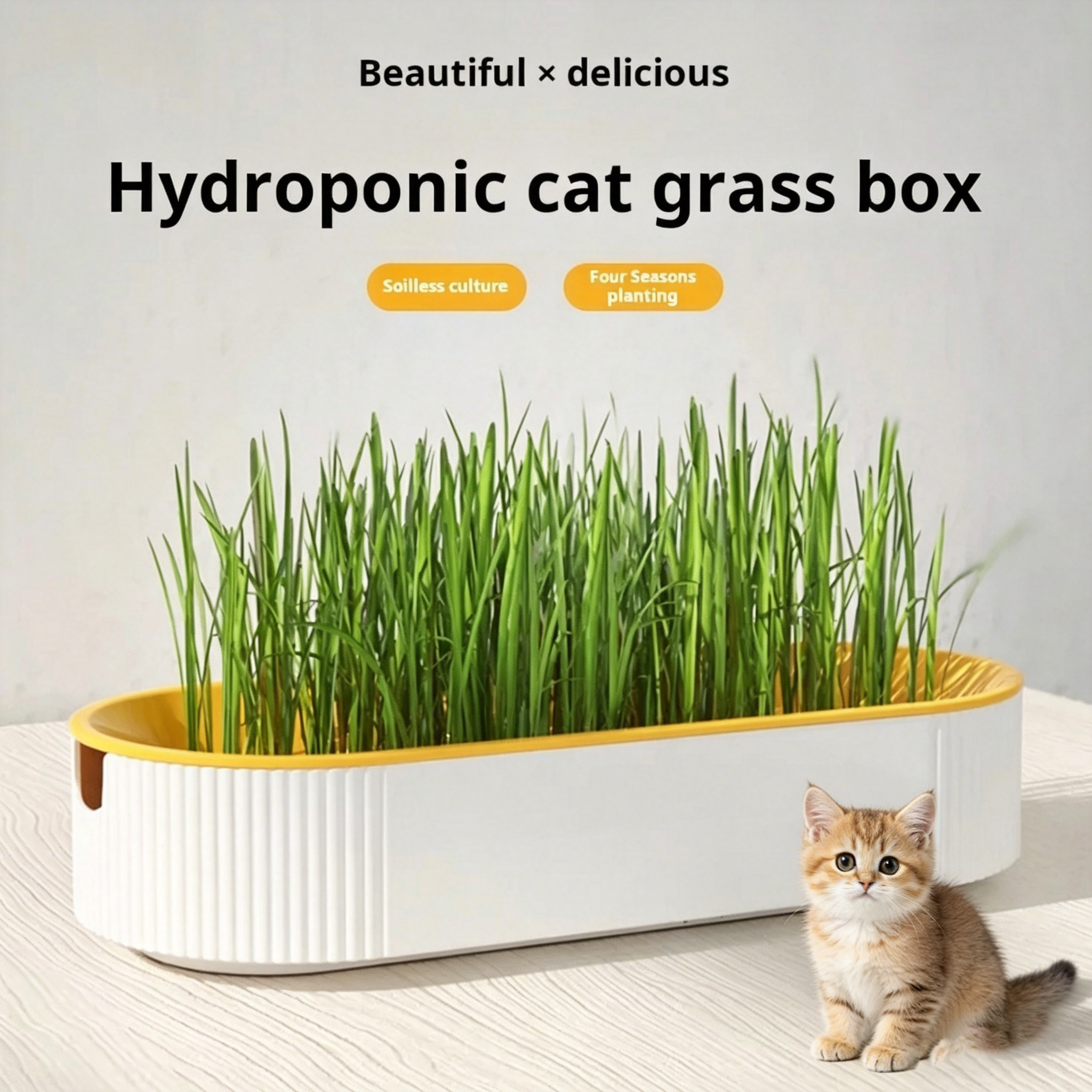 Easy Growth Hydroponic Cat Gra - Kitchen Appliances Set บทวิจารณ์และราคา