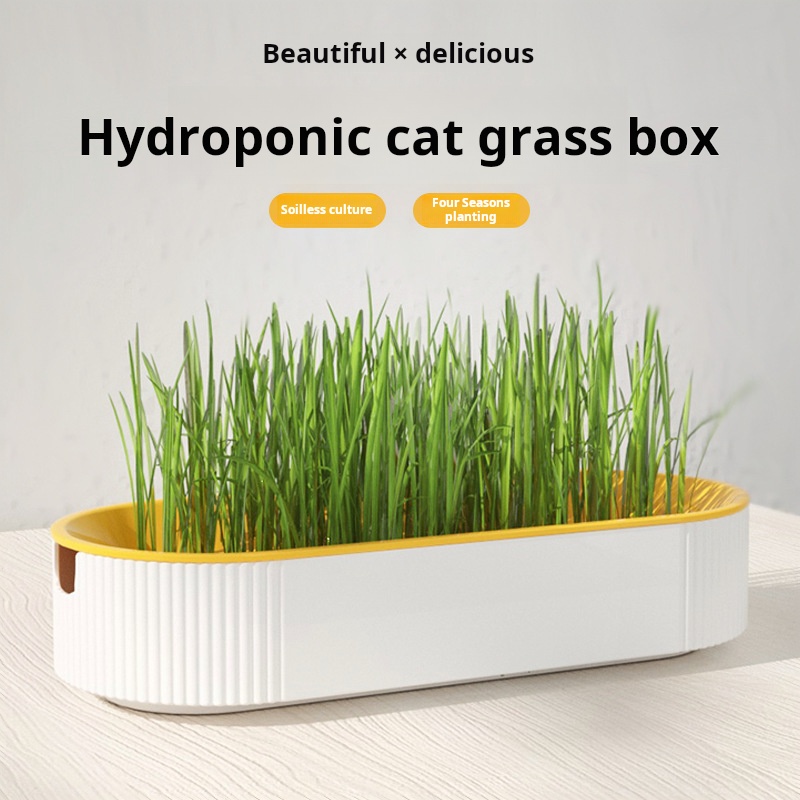 Easy Growth Hydroponic Cat Gra - Kitchen Appliances Set บทวิจารณ์และราคา