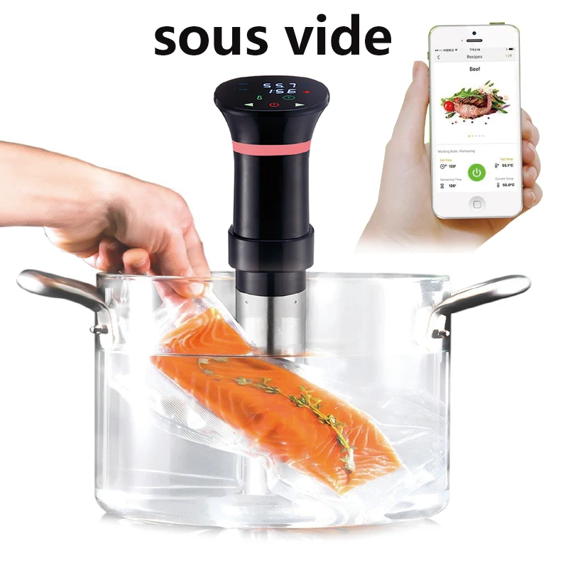 220V Sous Vide Precision Cooke - Sous Vide Immersion บทวิจารณ์และราคา