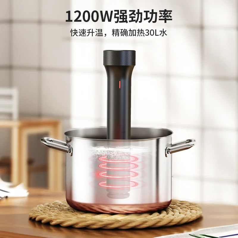 110V/220V WEVAC Sous Vide Prec - Sous Vide Immersion บทวิจารณ์และราคา