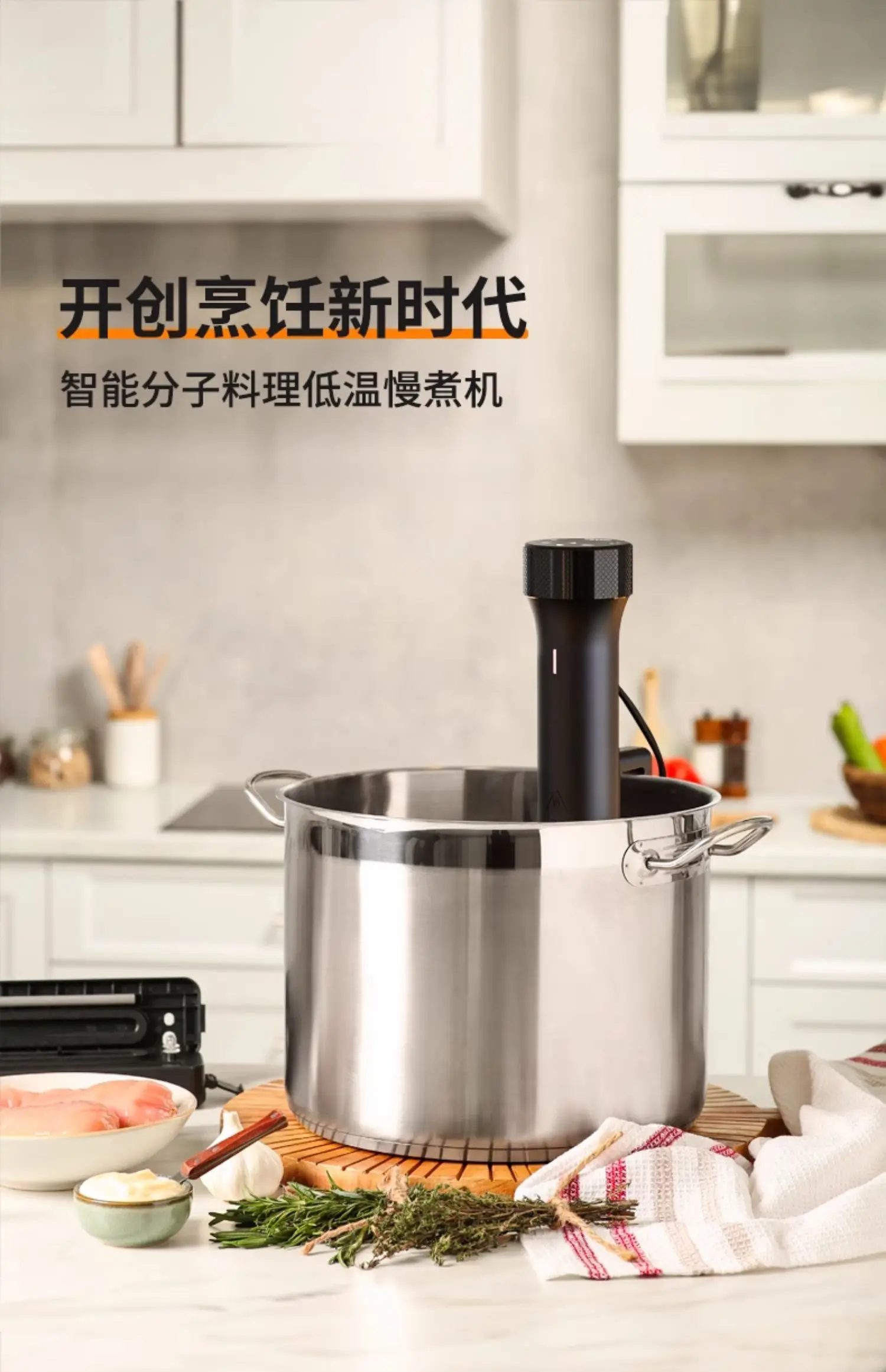 110V/220V WEVAC Sous Vide Prec - Sous Vide Immersion บทวิจารณ์และราคา